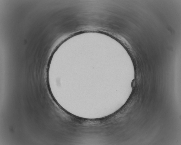 X0000111251183200907301320