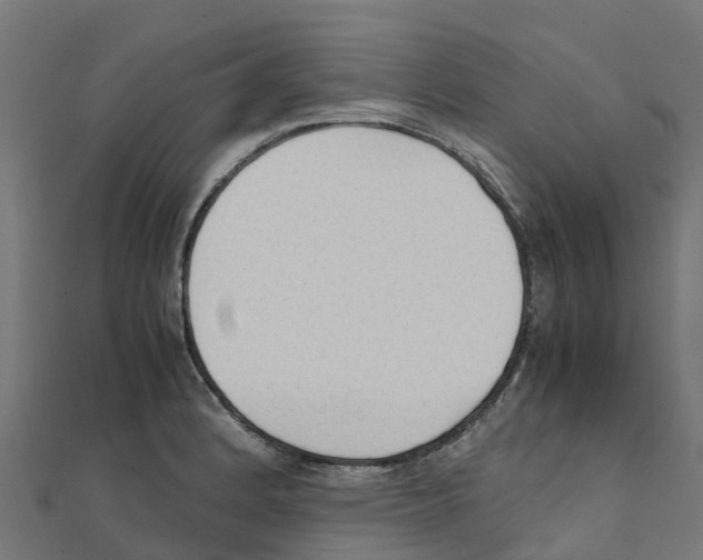 X0000111251184200907301320