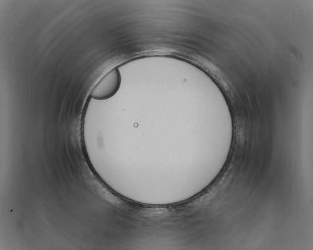 X0000111251186200907301320