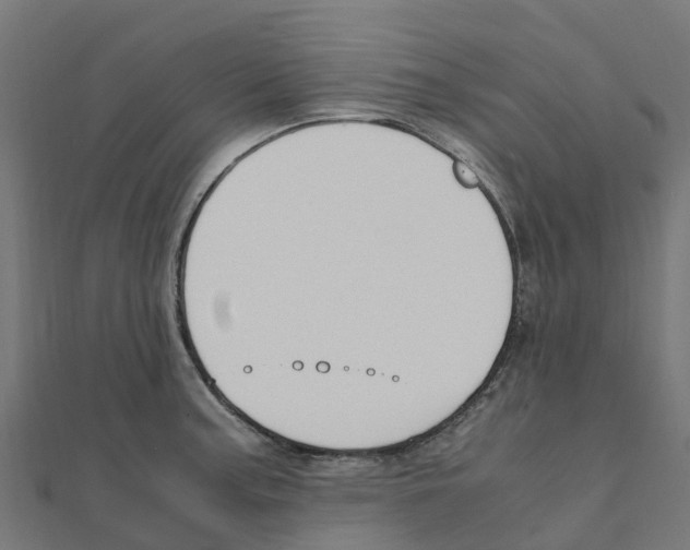 X0000111251187200907301320