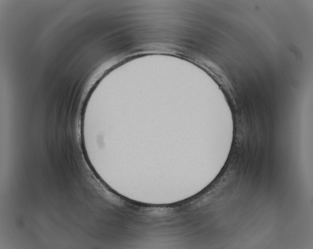 X0000111251188200907301320