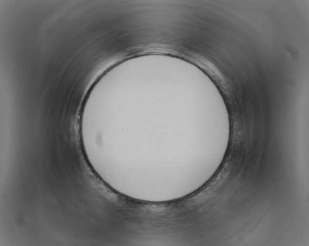 X0000111251190200907301320