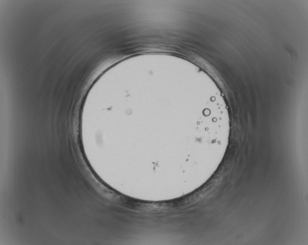 X0000111251195200907301320