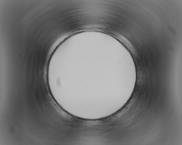 X0000111251196200907301320