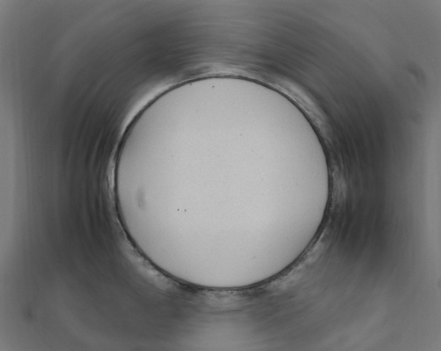 X0000111251198200907301320