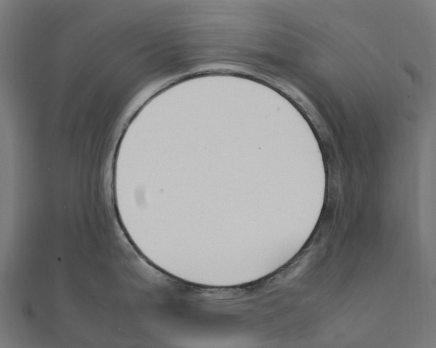 X0000111251199200907301320