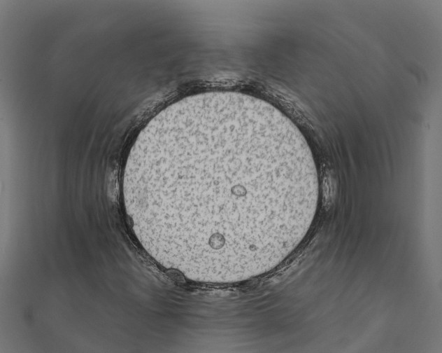 X0000111251204200907301320