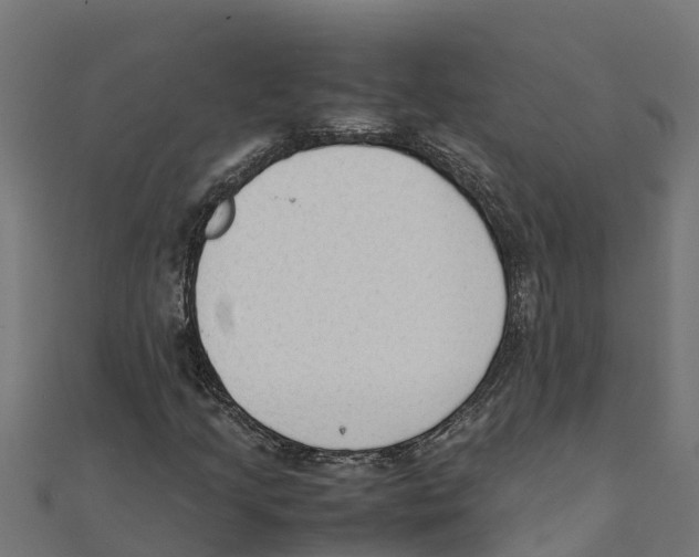 X0000111251205200907301320