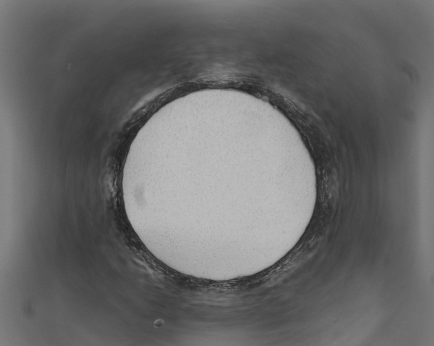 X0000111251206200907301320