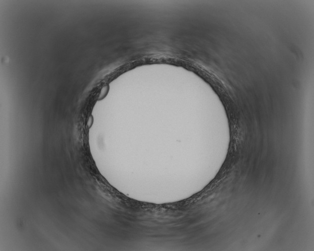 X0000111251207200907301320