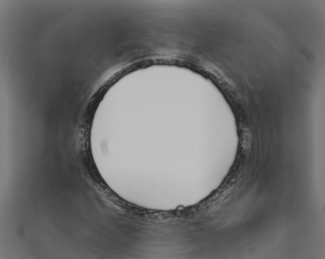 X0000111251208200907301320