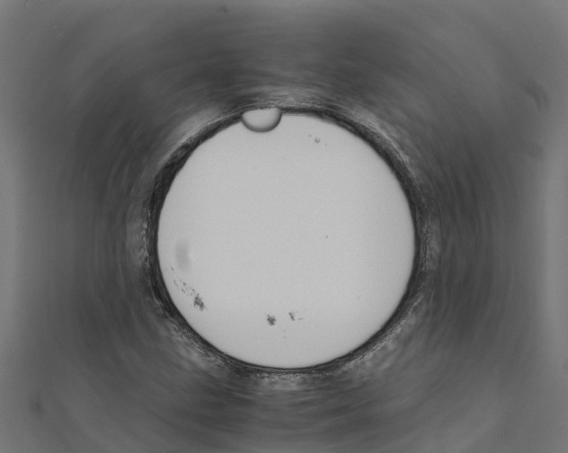 X0000111251211200907301320