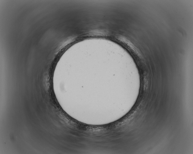 X0000111251213200907301320