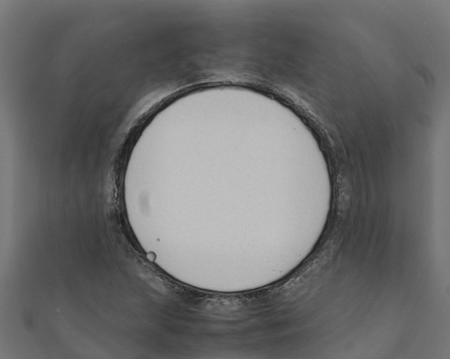 X0000111251215200907301320