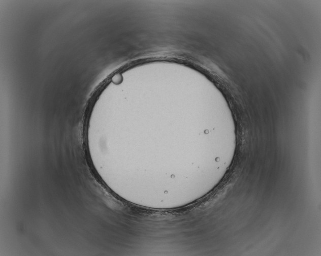 X0000111251216200907301320