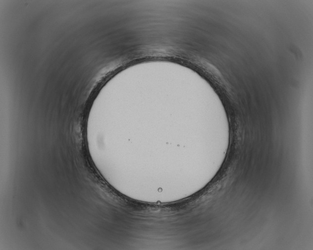 X0000111251218200907301320