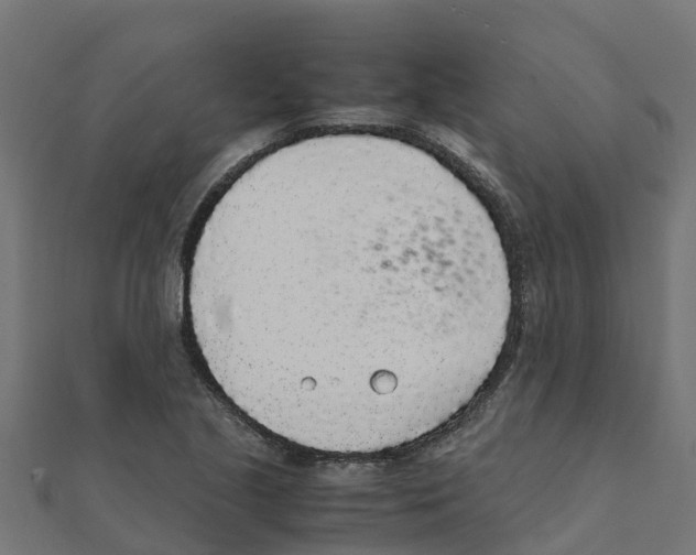 X0000111251221200907301320