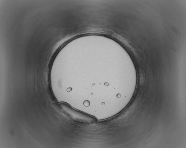 X0000111251222200907301320