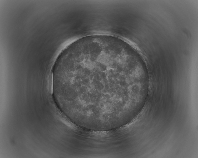 X0000111251223200907301320