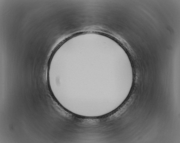 X0000111251224200907301320