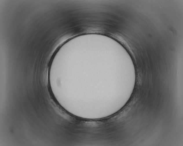 X0000111251227200907301320