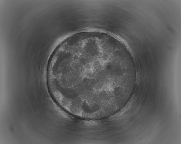 X0000111251231200907301320