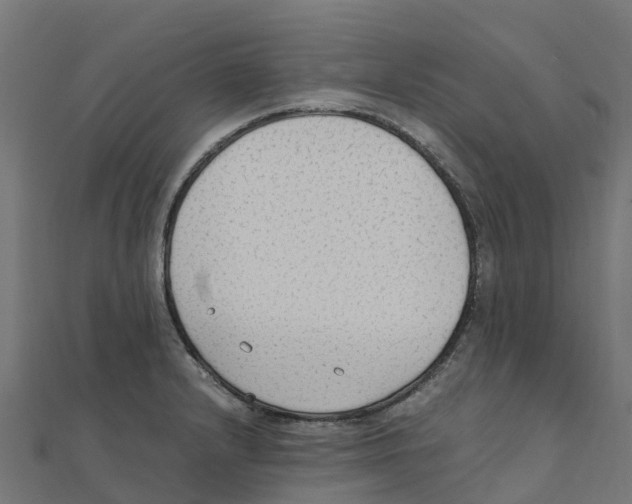 X0000111251232200907301320