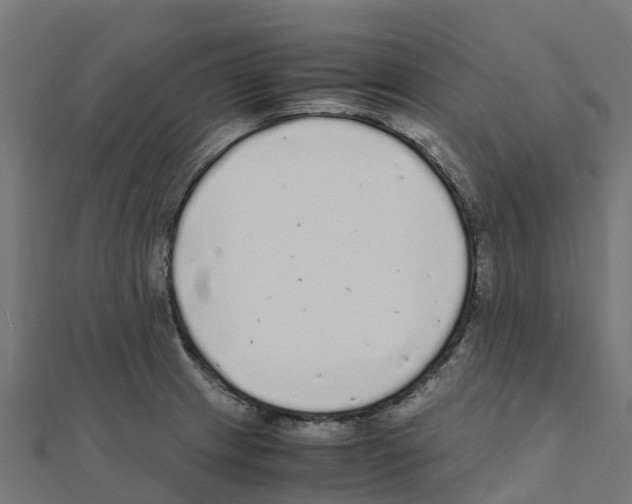 X0000111251233200907301320