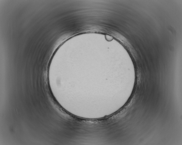 X0000111251234200907301320