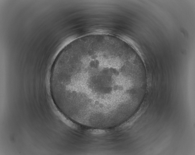 X0000111251235200907301320