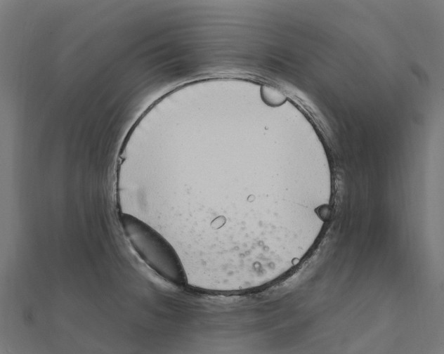 X0000111251236200907301320