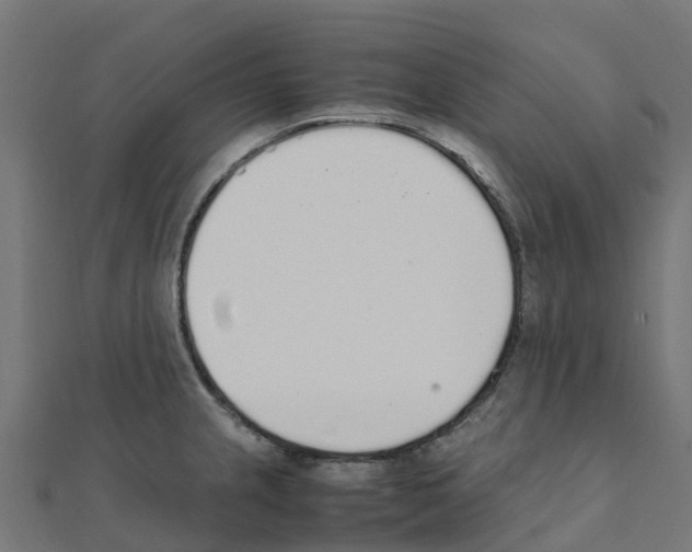 X0000111251237200907301320