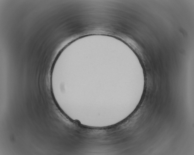 X0000111251238200907301320