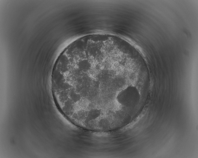 X0000111251239200907301320