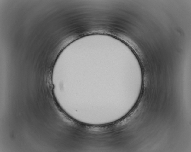 X0000111251241200907301320