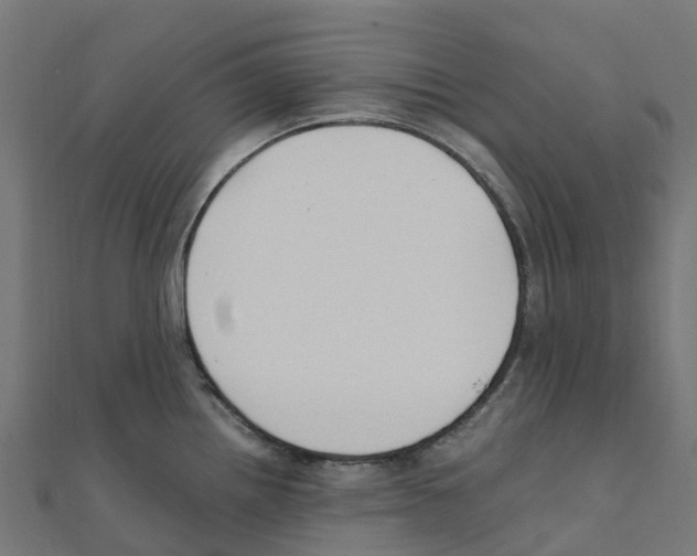 X0000111251242200907301320