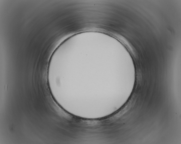 X0000111251244200907301320