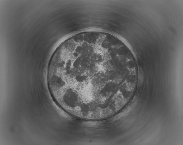 X0000111251245200907301320