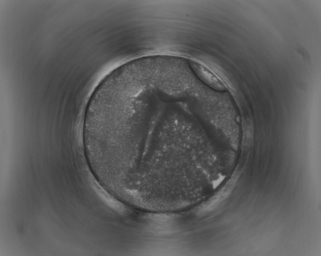 X0000111251246200907301320