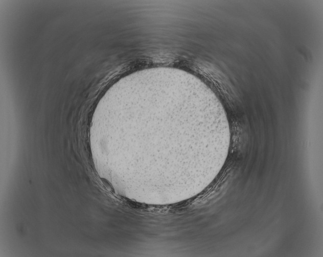 X0000111251249200907301320