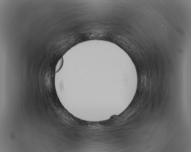 X0000111251250200907301320