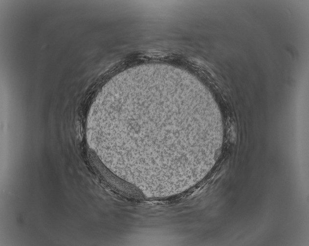 X0000111251253200907301320