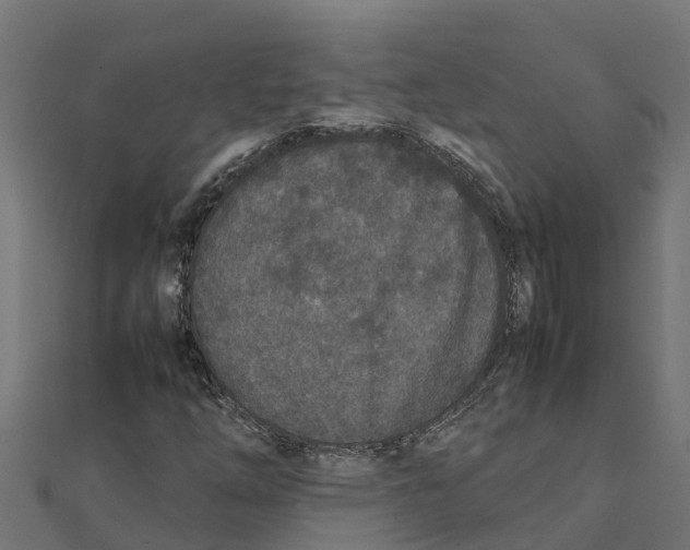 X0000111251254200907301320