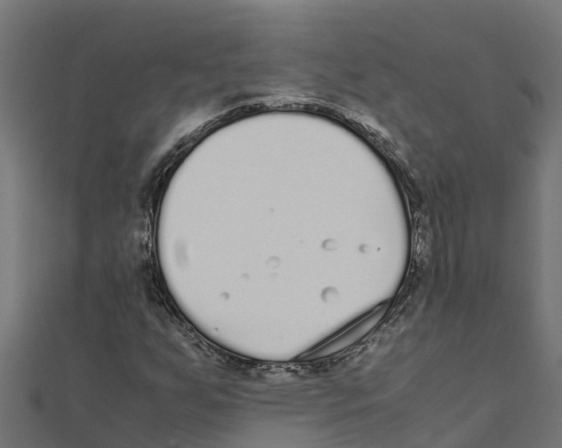 X0000111251255200907301320