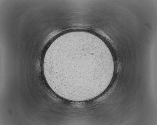 X0000111251259200907301319