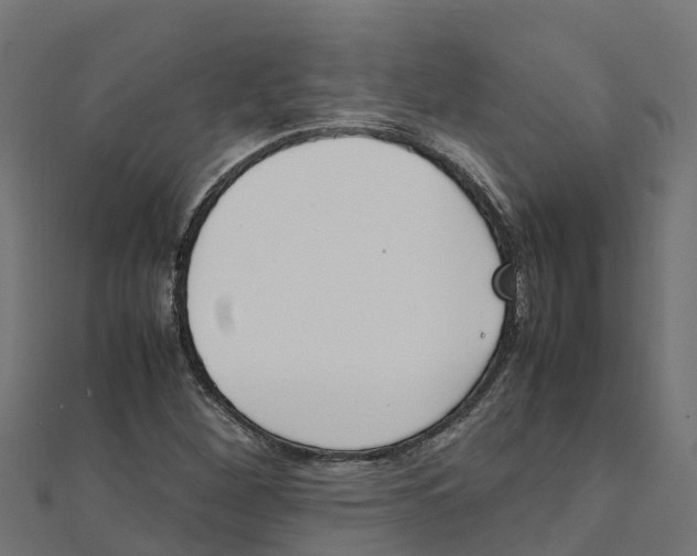 X0000111251260200907301319