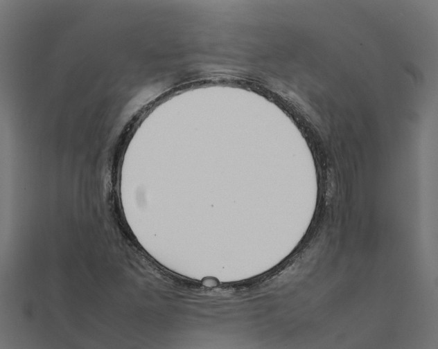 X0000111251261200907301319