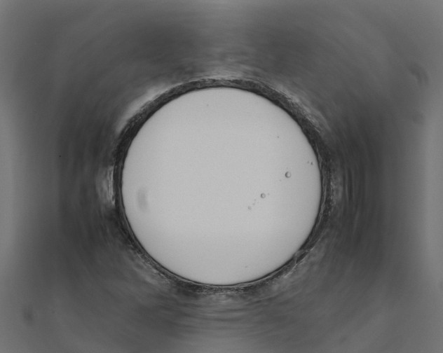 X0000111251262200907301319