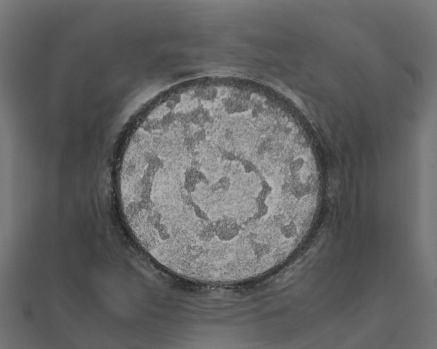 X0000111251263200907301319