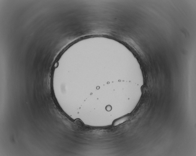 X0000111251268200907301319